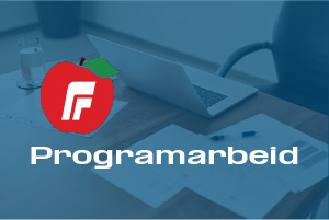 Programarbeid Nes FrP 2027